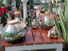 IMG_20250317_112851